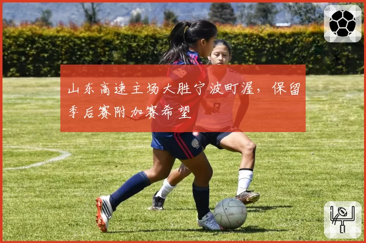 山东高速主场大胜宁波町渥，保留季后赛附加赛希望