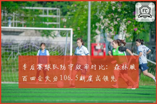 季后赛球队防守效率对比:森林狼百回合失分106.5断崖式领先