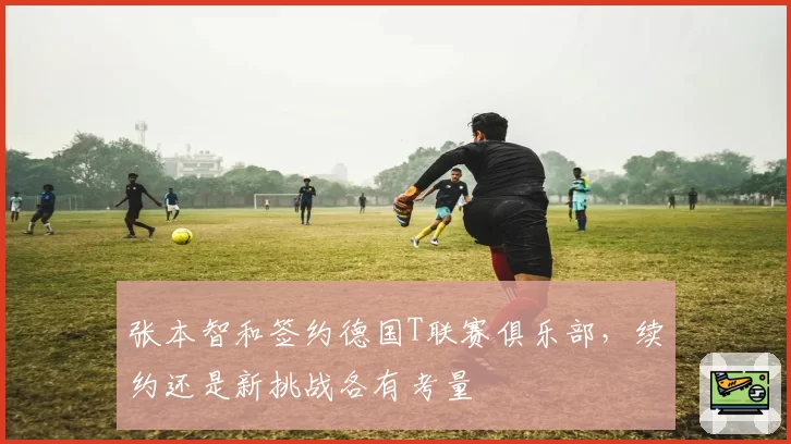 张本智和签约德国T联赛俱乐部，续约还是新挑战各有考量