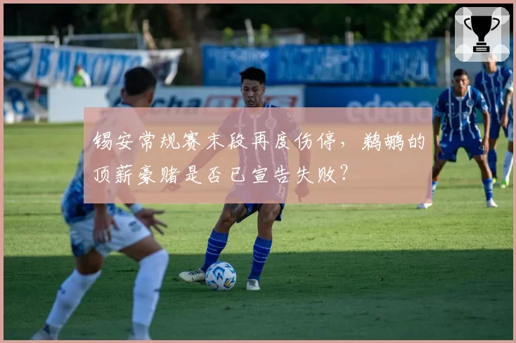 锡安常规赛末段再度伤停，鹈鹕的顶薪豪赌是否已宣告失败？